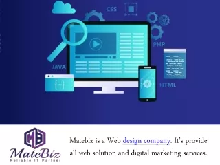 Matebiz India Is Expert Web Development Company