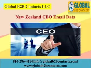 global b2b contacts llc
