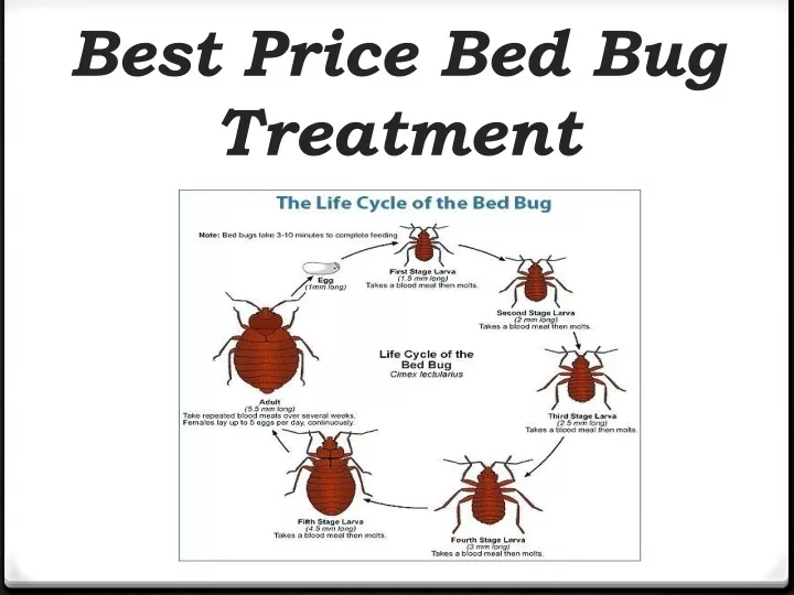 best price bed bug treatment