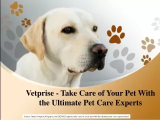 Vetprise - Take Care of Your Pet With the Ultimate Pet Care Experts