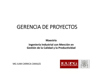 gerencia prouectos