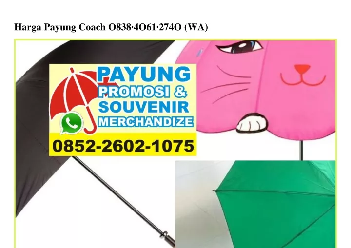 harga payung coach o838 4o61 274o wa