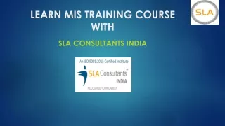 Best MIS Training Course Institute in Delhi NCR | SLA Consultants India