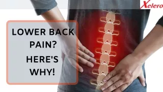 LOWER BACK PAIN? HERE'S WHY!