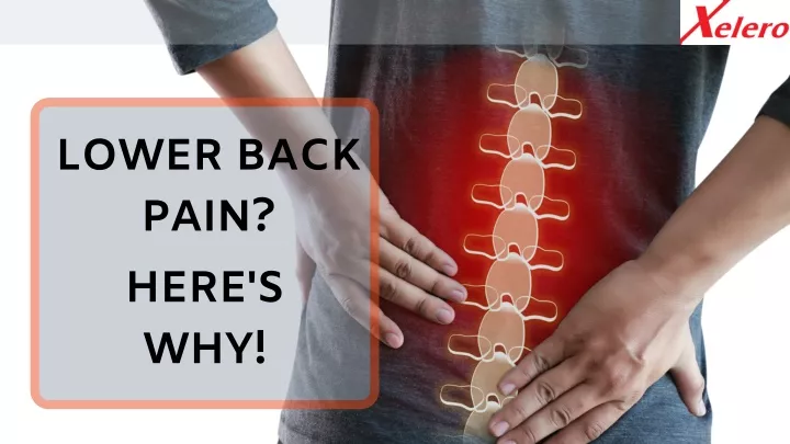 lower back pain here s why