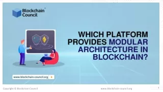Which Platform Provides Modular Architecture in Blockchain?
