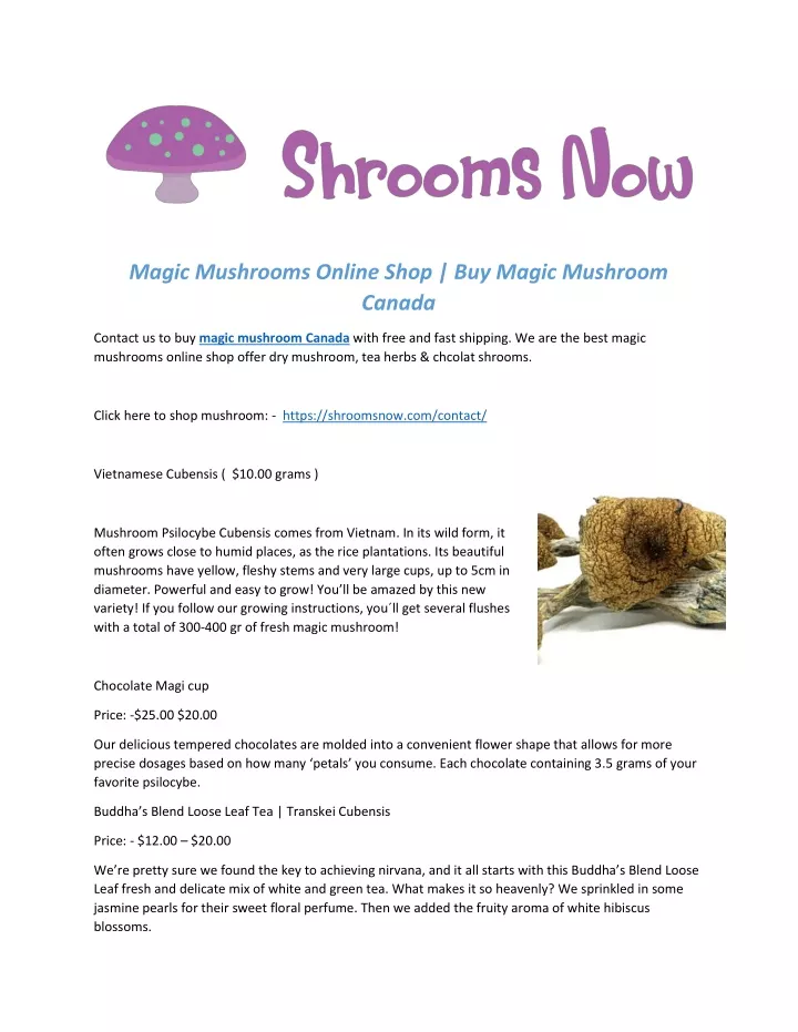 magic mushrooms online shop buy magic mushroom