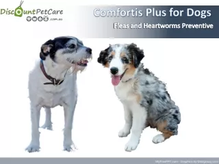 Buy Comfortis Plus for Dogs | Fleas-Heartworms Control Tablets online Australia