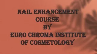Nail Art Institute in Delhi - Euro Chroma