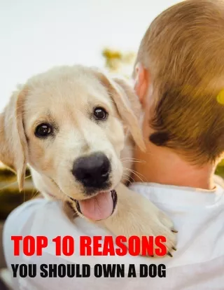 TOP 10 REASONS YOU SHOULD OWN A DOG