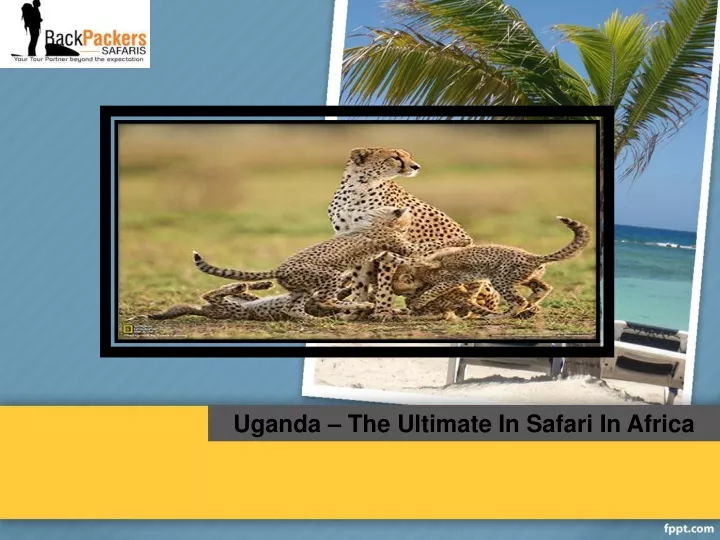uganda the ultimate in safari in africa