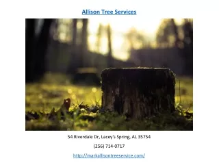 allison tree services