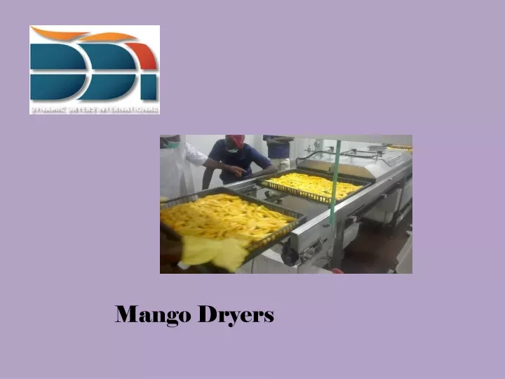 mango dryers