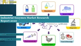 Industrial Enzymes Market Research Report 2020