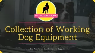 Finest Dog Equipment Supplier | All Access Canine