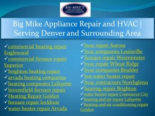 big mike appliance repair and hvac serving denver