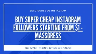 Buy cheap Instagram followers from Massgress.com