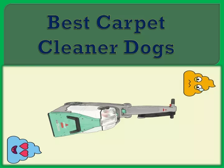 best carpet cleaner dogs