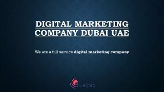 1st Page Rank Guaranteed | Trusted SEO Company? Dubai | Best SEO Agency In Dubai