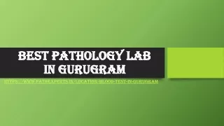 best pathology lab in gurugram