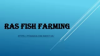 ras fish farming