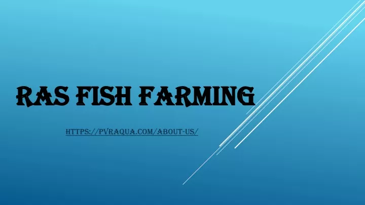 ras fish farming