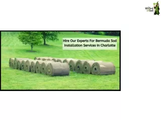 HIRE OUR EXPERTS FOR BERMUDA SOD INSTALLATION SERVICES   IN CHARLOTTE