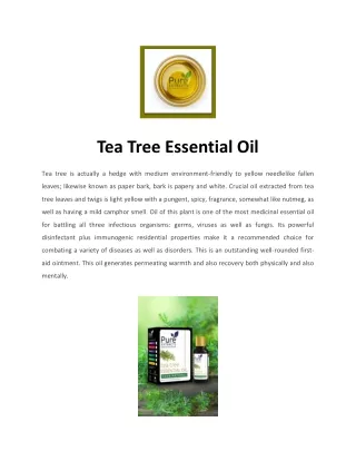 Tea Tree Oils Wholesale Dealers in India | Pure Extract Tea Tree Oils