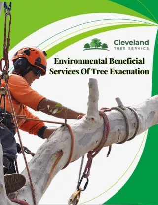 Environmental Beneficial Services Of Tree Evacuation