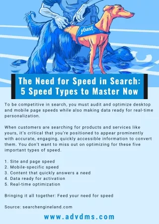 The Need for Speed in Search: 5 Speed Types to Master Now