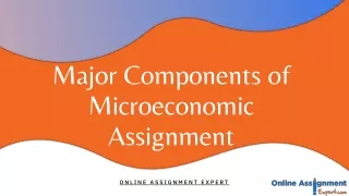 Major Components of Microeconomics Assignments