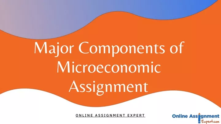 major components of microeconomic assignment