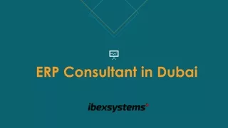 ERP Consultant in Dubai | Ibex Systems