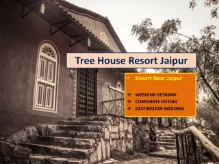 Tree House Jaipur | Best Resorts in Jaipur