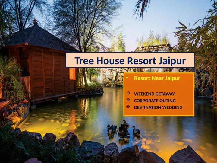 tree house resort jaipur
