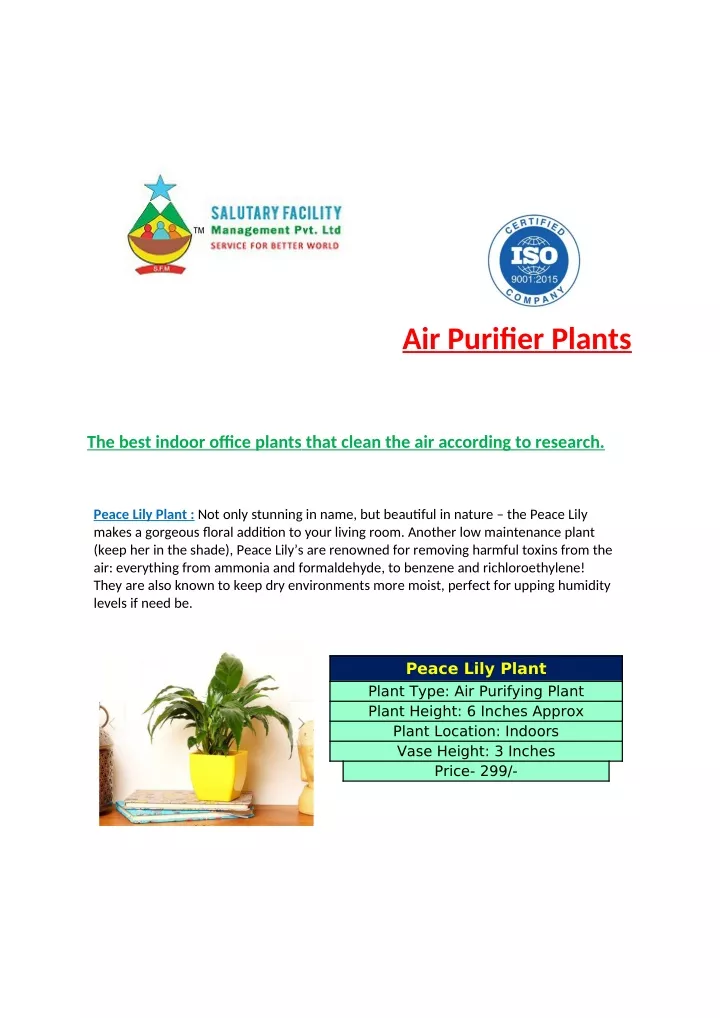 air purifier plants