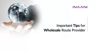 Important Tips For VoIP Wholesale Route Provider