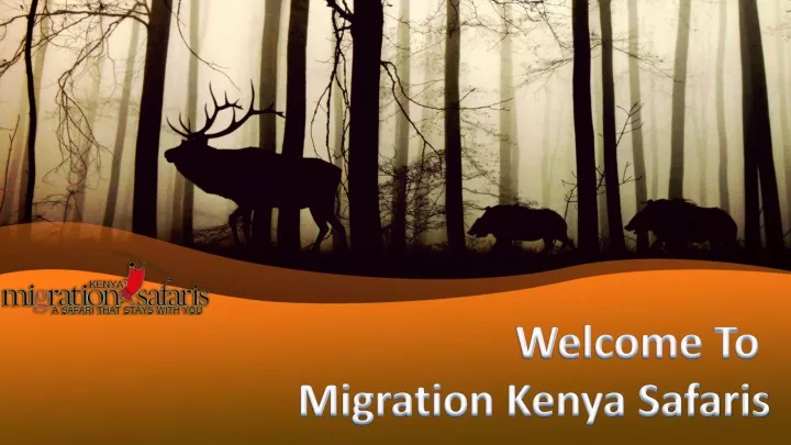 welcome to migration kenya safaris
