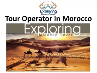 Tour Operator in Morocco