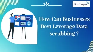 How Can Businesses Best Leverage Data scrubbing?