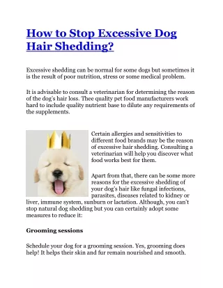 How to Stop Excessive Dog Hair Shedding?