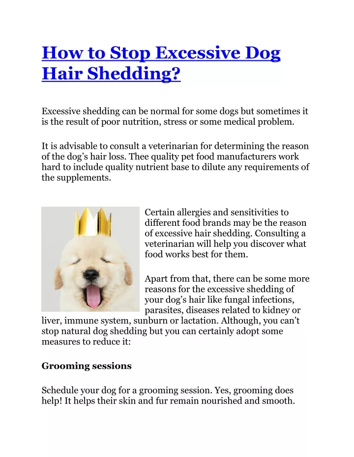 how to stop excessive dog hair shedding