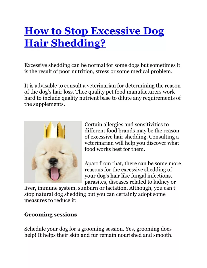 PPT - How to Stop Excessive Dog Hair Shedding? PowerPoint Presentation ...