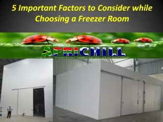 5 Important Factors to Consider while Choosing a Freezer Room