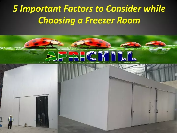 5 important factors to consider while choosing a freezer room