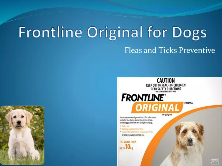 frontline original for dogs