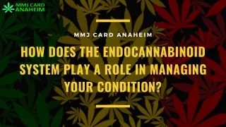 m m j c a r d a n a h e i m