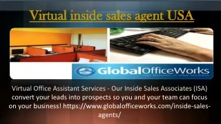 Virtual inside sales agent USA