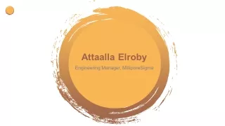 Attaalla Elroby - Experienced Professional From Marblehead, MA