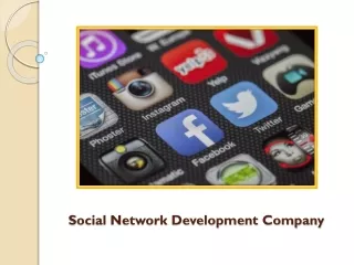 How Social Network Development Company Can Help You Survive